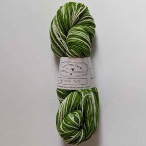 1 Skein Indie Hand Dyed Fingering Weight Sock Yarn White Barn Farms Grinch Toes